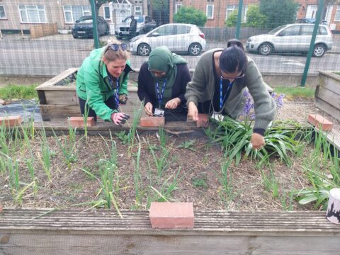 Celebrating Green Week